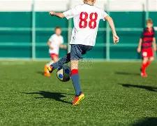 谢娜直播现,孕吐疑云,网友热议二,开云体育,开云体育官网,开云体育app,开云体育平台,KAIYUN,SPORTS,kaiyun登录入口