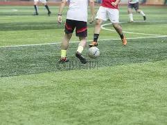 星野源红白,歌会致敬岩,田聪,开云体育,开云体育官网,开云体育app,开云体育平台,KAIYUN,SPORTS,kaiyun登录入口