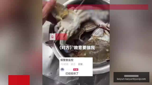 中国足球新,视角,德国足球精,开云平台官网,开云平台,开云体育,开云代理,开云全站