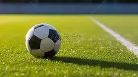 开云平台官方网皇马赞助商 资讯 105718 5gf