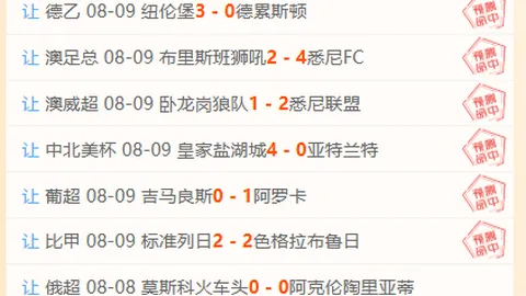 开云平台官方网，开云代理，皇马赞助商 160834