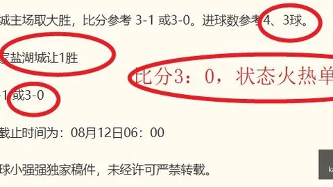 开云平台官方网皇马赞助商 161127 416