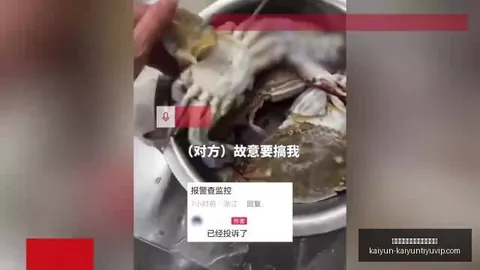 中国足球新视角：德国足球精髓